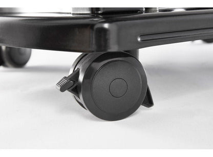 Weber Spirit E-315 Gbs Black
