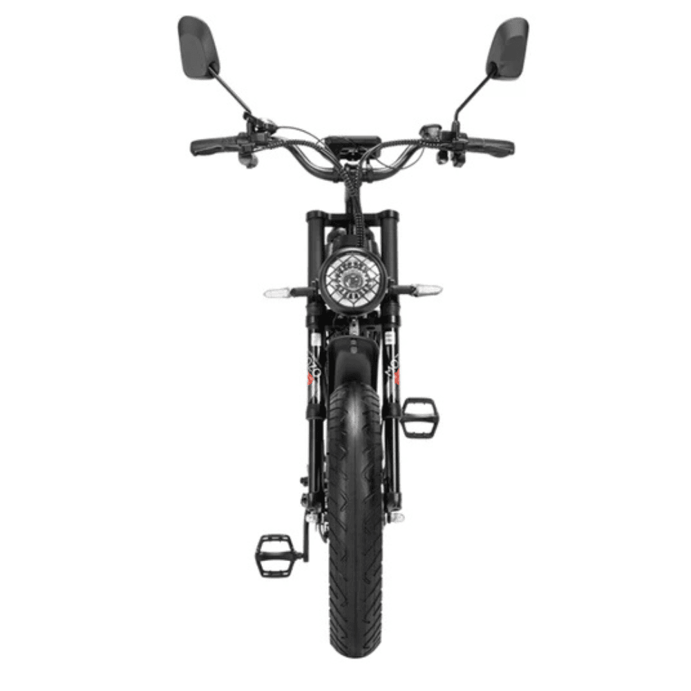 Ridstar Q20Pro 2000W Fat Tire Electric Bicycle